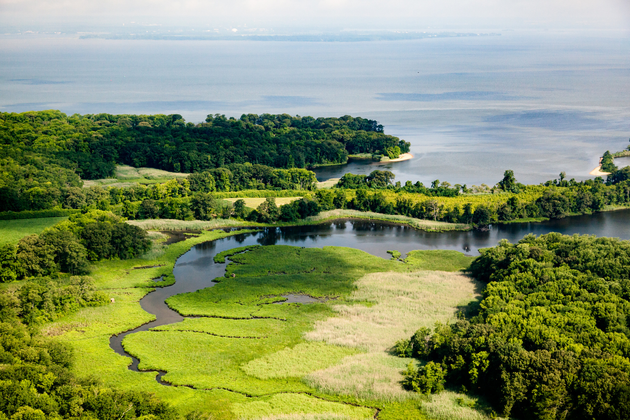 Chesapeake Bay Awareness Week – Alliance for the 