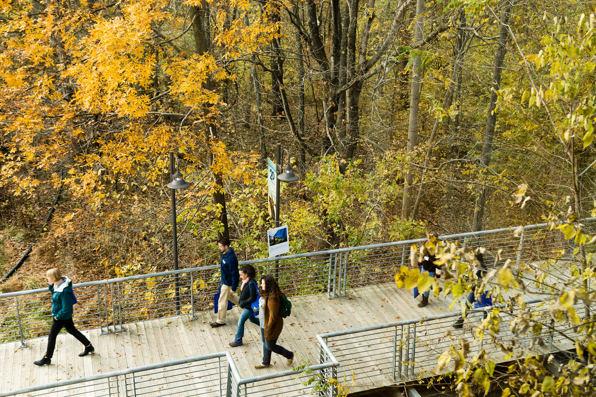 Now Accepting Proposals for 2020 Chesapeake Watershed Forum Alliance