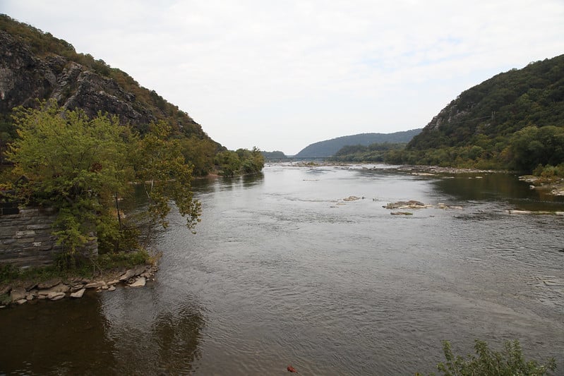 2020 Year of the Woman Blog Series Recap - Alliance for the Chesapeake Bay