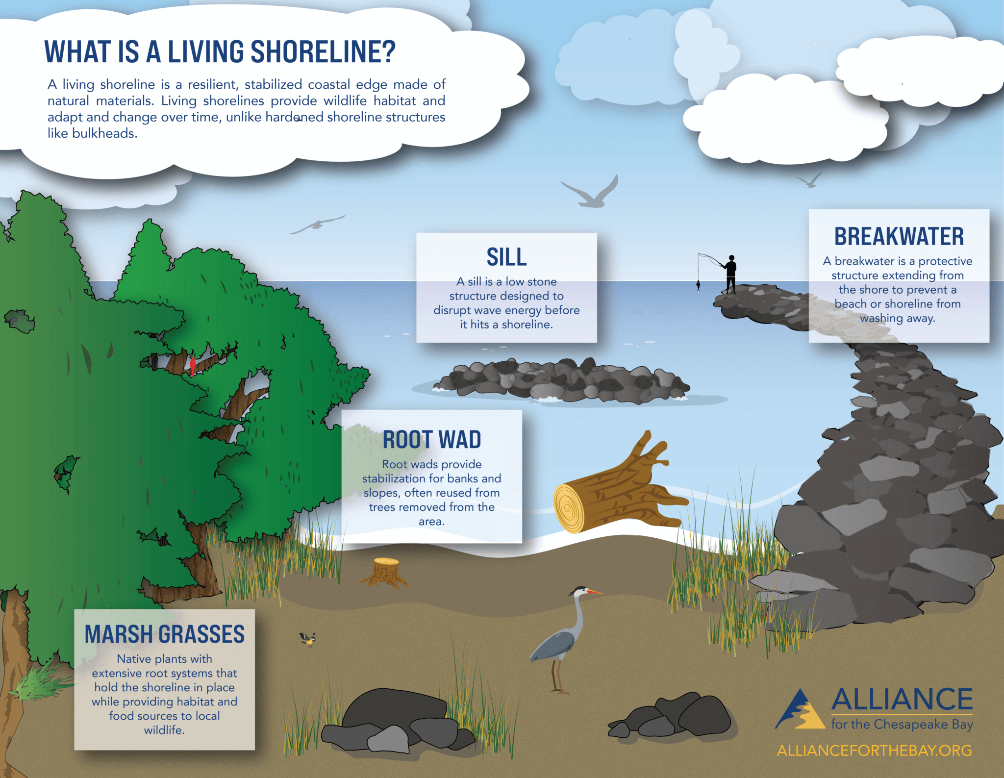 living-shorelines-alliance-for-the-chesapeake-bay