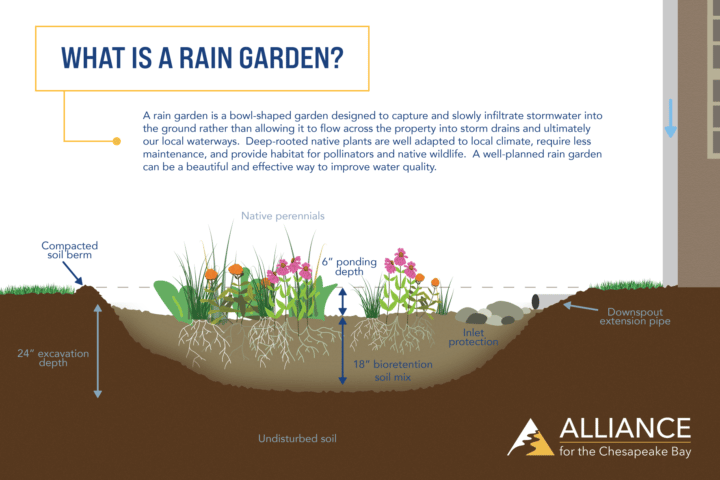 Stormwater Management - Alliance for the Chesapeake Bay