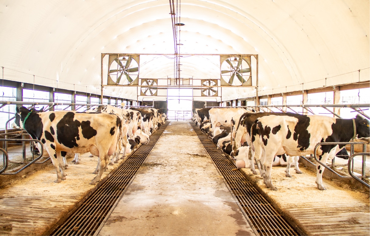 Bringing Sustainable Practices to Local Dairy Farms - Alliance for the ...