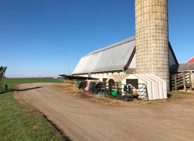 A barn and silo with a clear, sunny sky behind it.