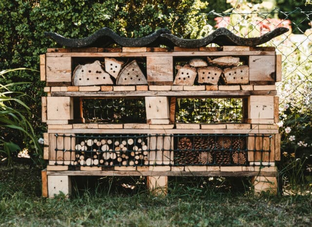 A structure of pallets, wood and pinecones