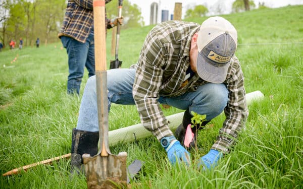 A close up image of a person planting a small sapling in a grassy, hilly farm field