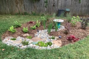 A recently installed rain garden on a residential property with a fence in the background.