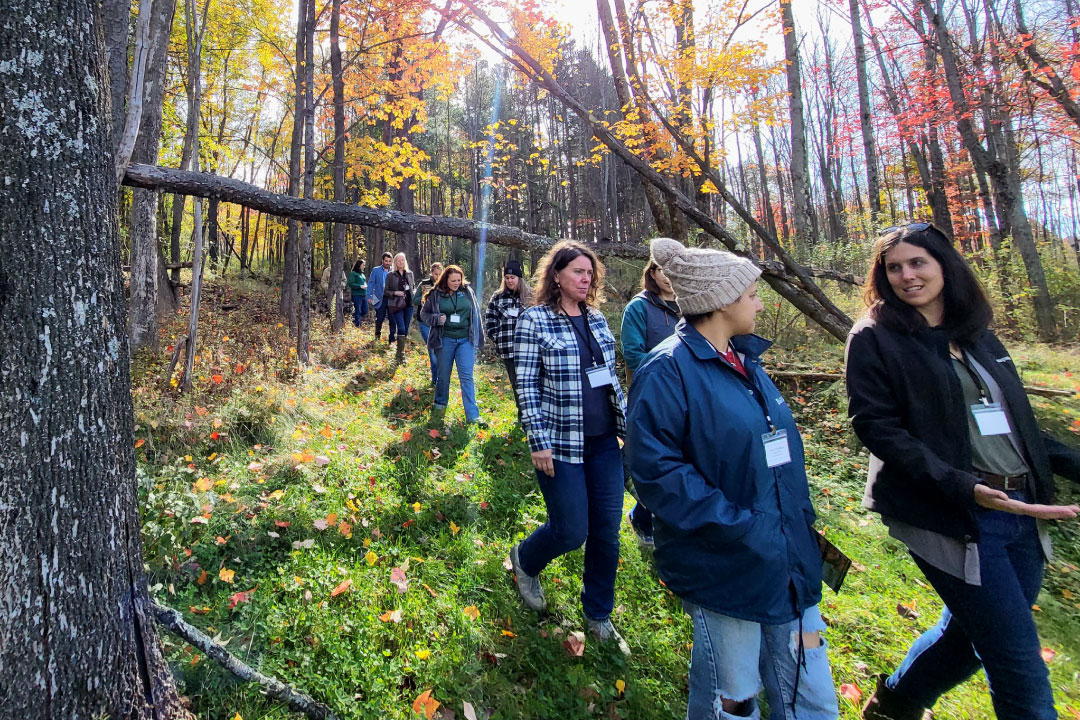 Navigating Clean Water Challenges in New York - Alliance for the ...