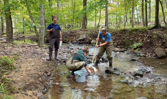 Alliance for the Chesapeake Bay | 50 Years of Conservation