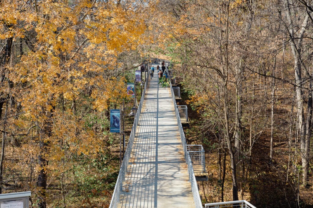 2024 Chesapeake Watershed Forum Alliance for the Chesapeake Bay