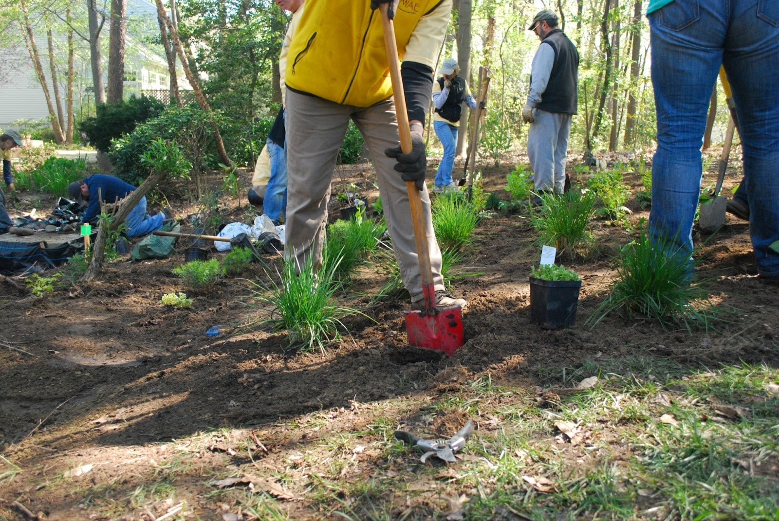 A group of people planting native grasses