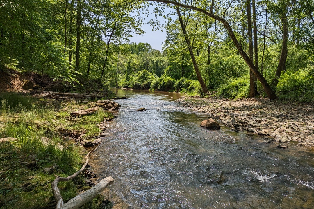 A shallow creek flowing during a sunny day