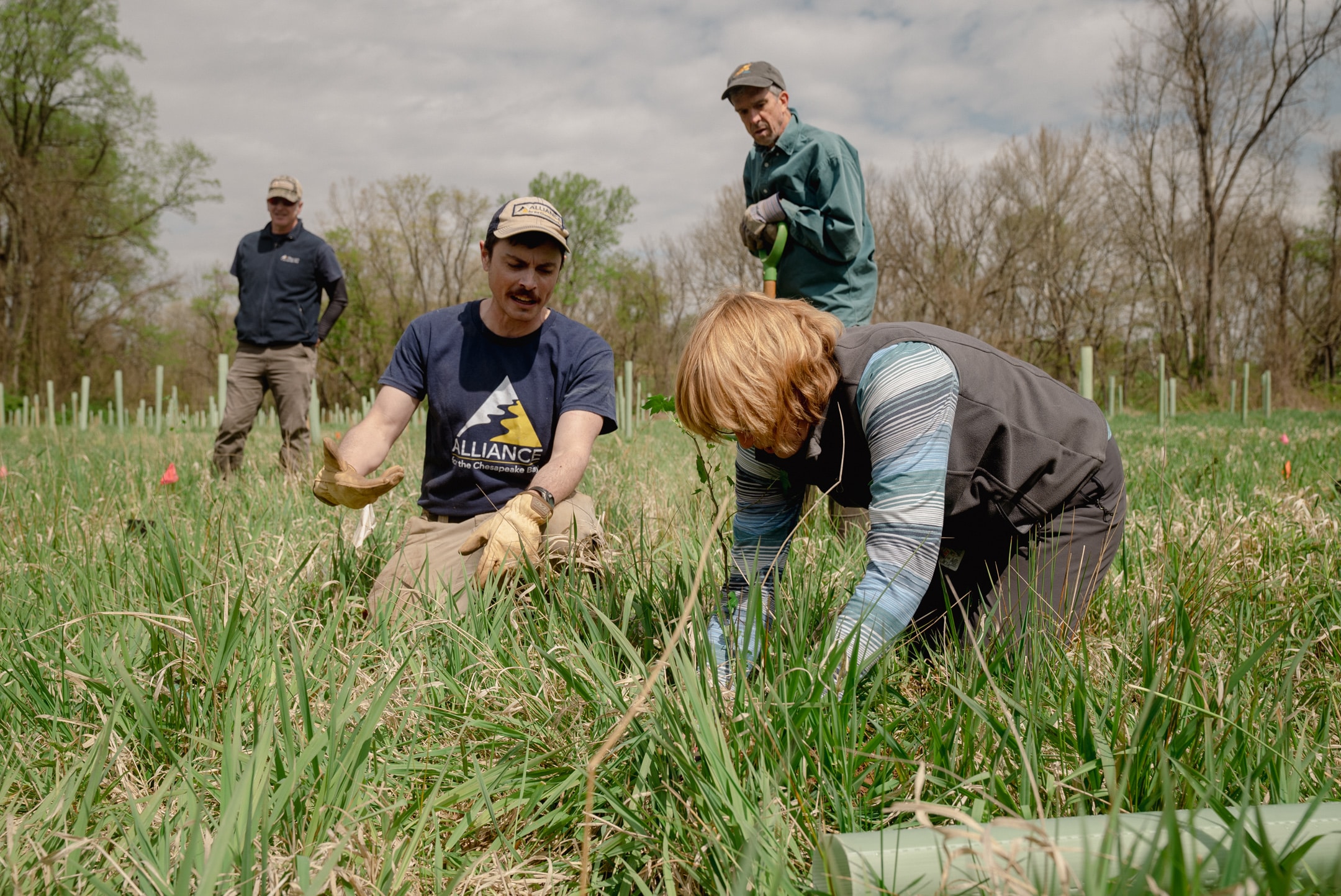 Alliance staff and DCNR staff planting a seedling