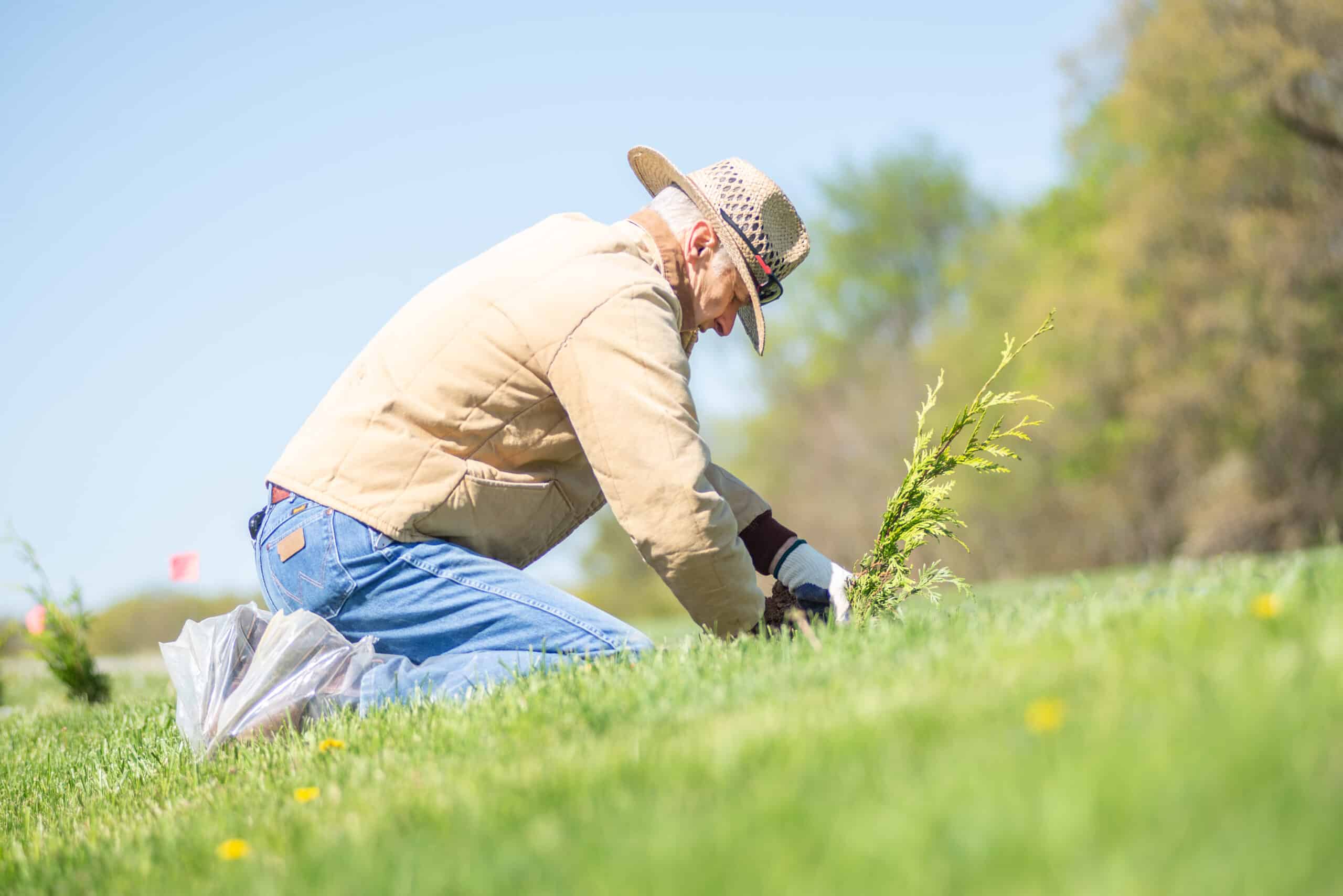 A person stooped over, planting a sapling in a field