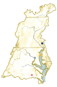 A watercolor painting of the Chesapeake Bay watershed boundary with four dots showing the Alliance office locations in Lancaster, PA, Annapolis, MD, Washington, DC, and Richmond, VA.