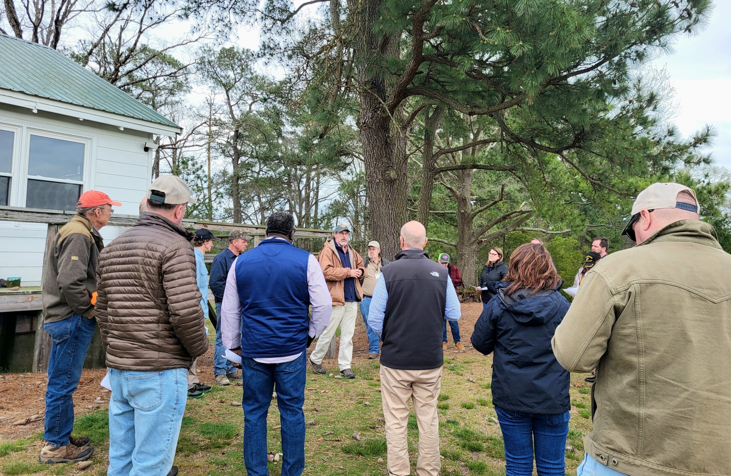 A group of people listening to a person speak with a large tree in the background