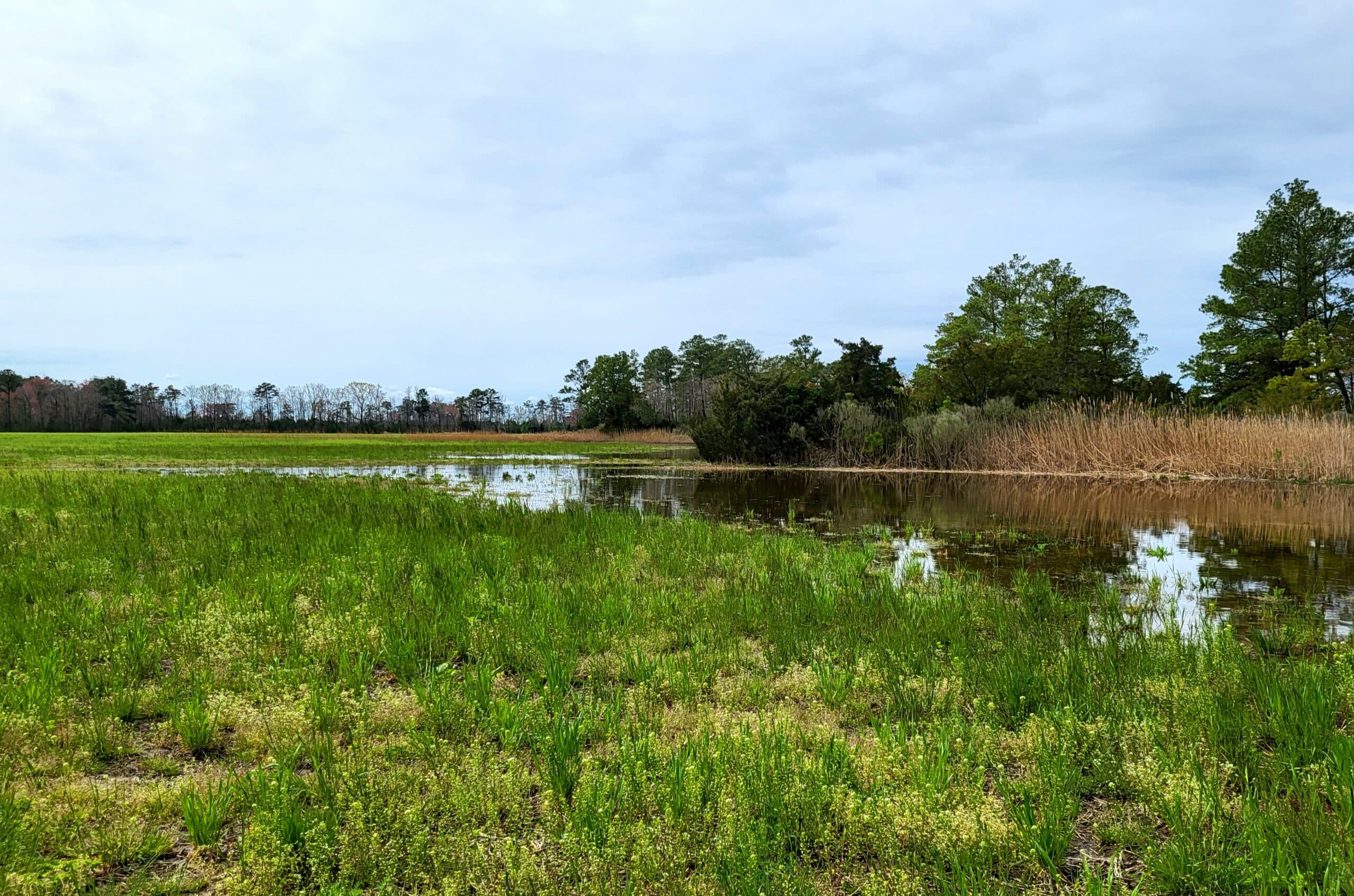 A flooded field on a cloudy day