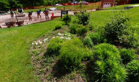 A green garden in the foreground, people working in the background