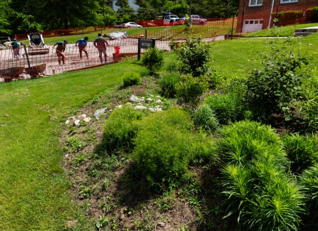 A green garden in the foreground, people working in the background