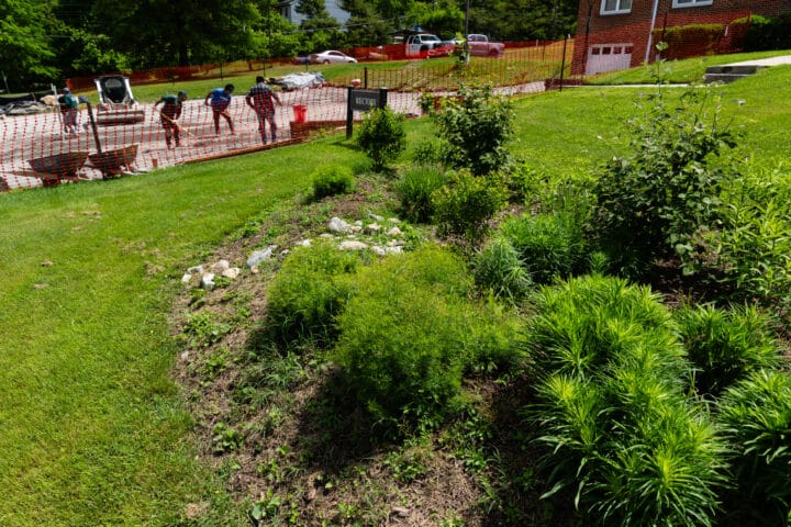 A green garden in the foreground, people working in the background