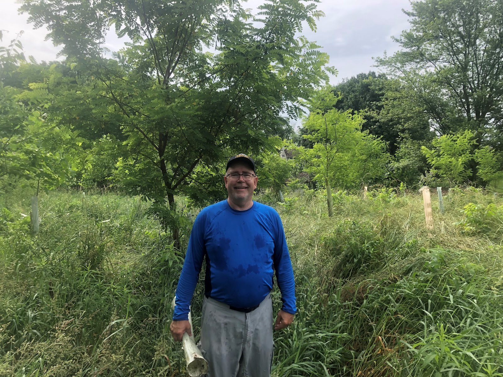 A person stands in a field full of young trees