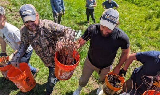 An overhead view of a line of people carrying buckets and smiling