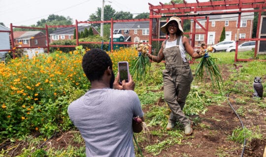 A person in the foreground taking a photo of someone holding onions in a garden.