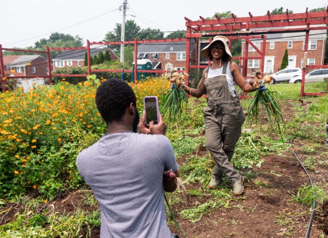 A person in the foreground taking a photo of someone holding onions in a garden.