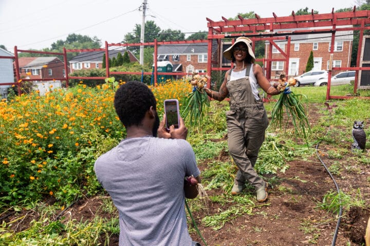 A person in the foreground taking a photo of someone holding onions in a garden.