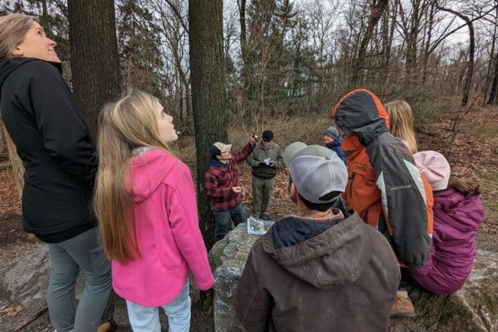 A group of people gather around a tree as someone speaks