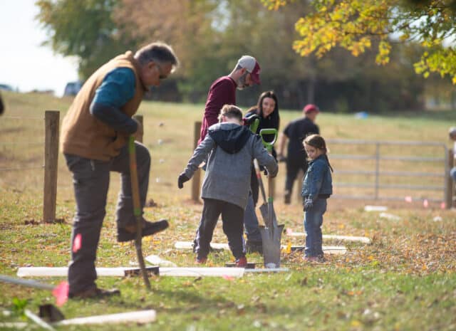 a group of people plant trees