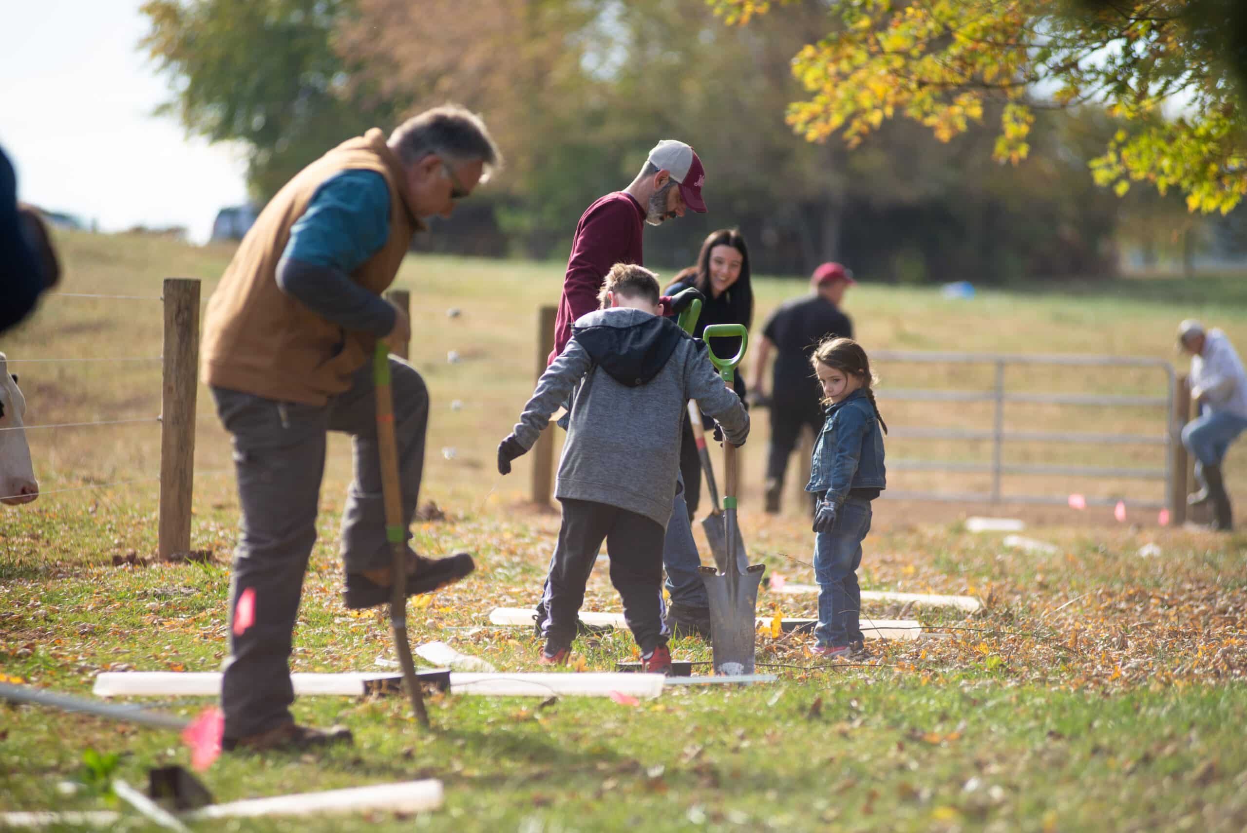 a group of people plant trees