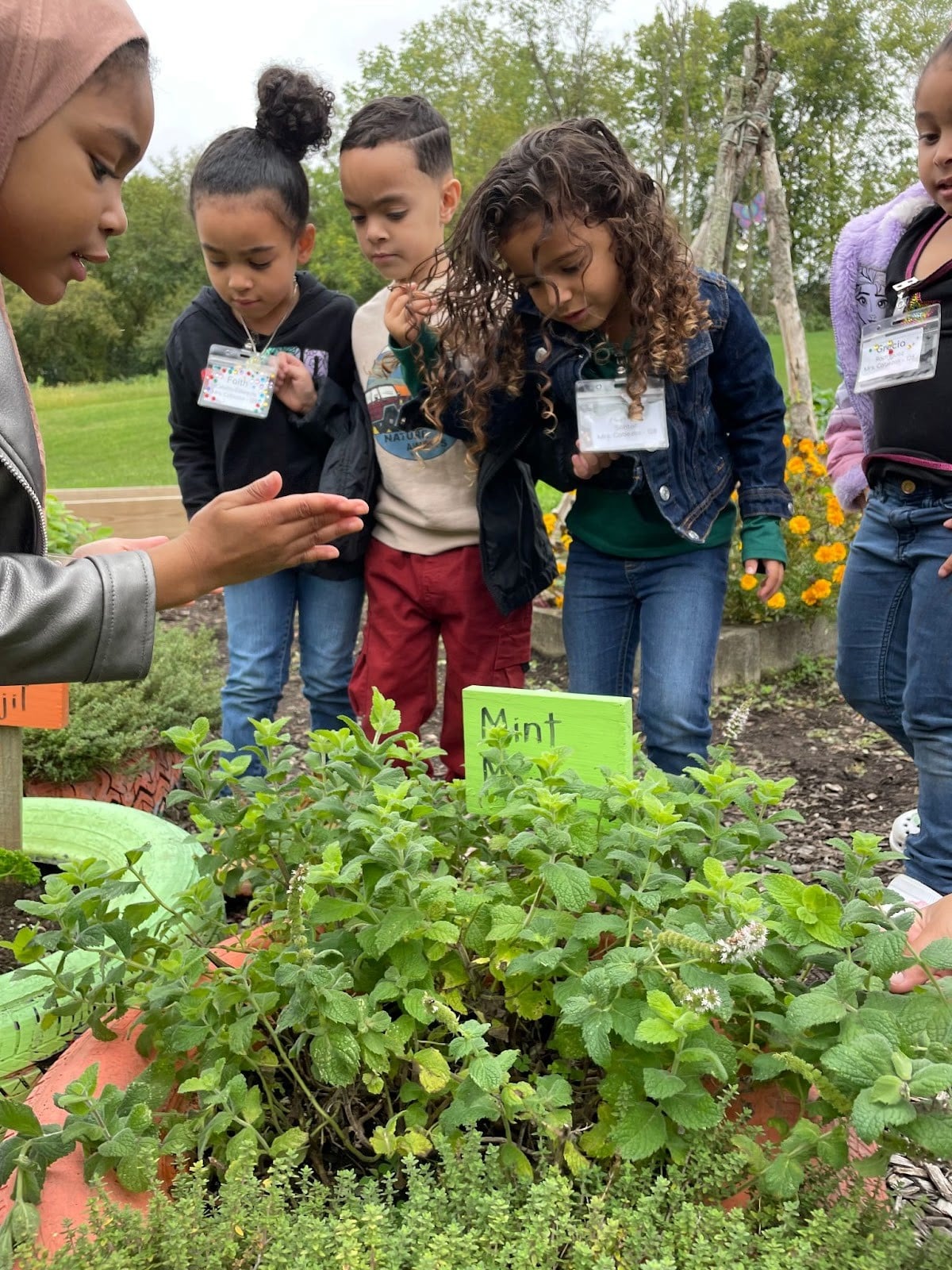 a group of children look at mint in a garden