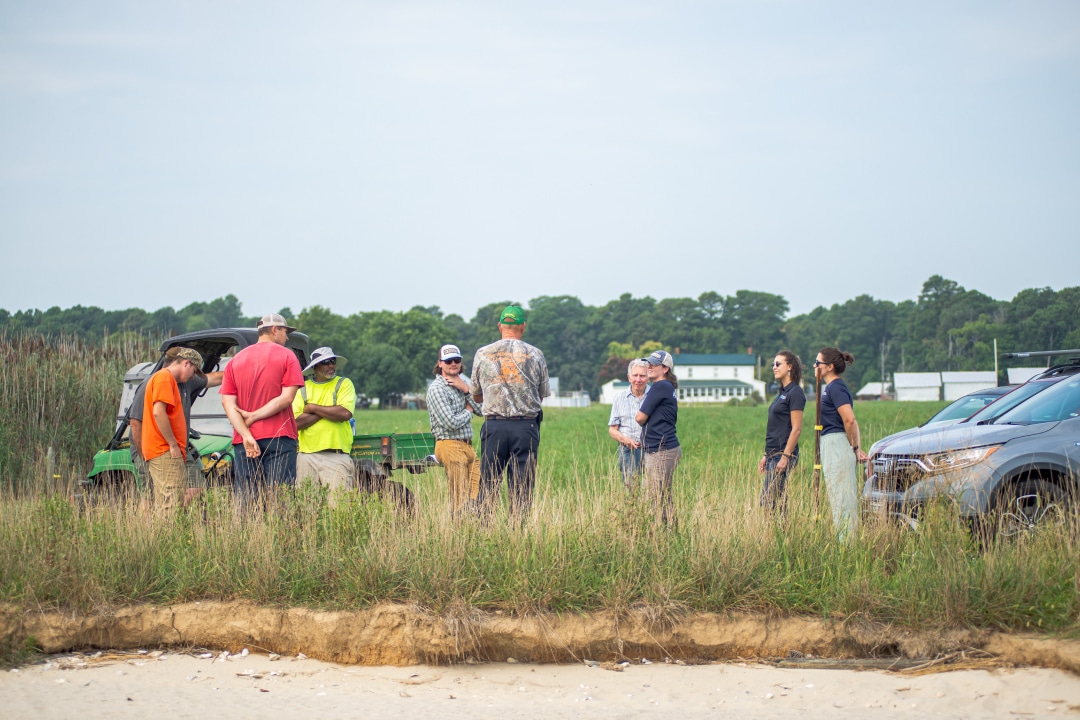 A group of people stand along the shore talking