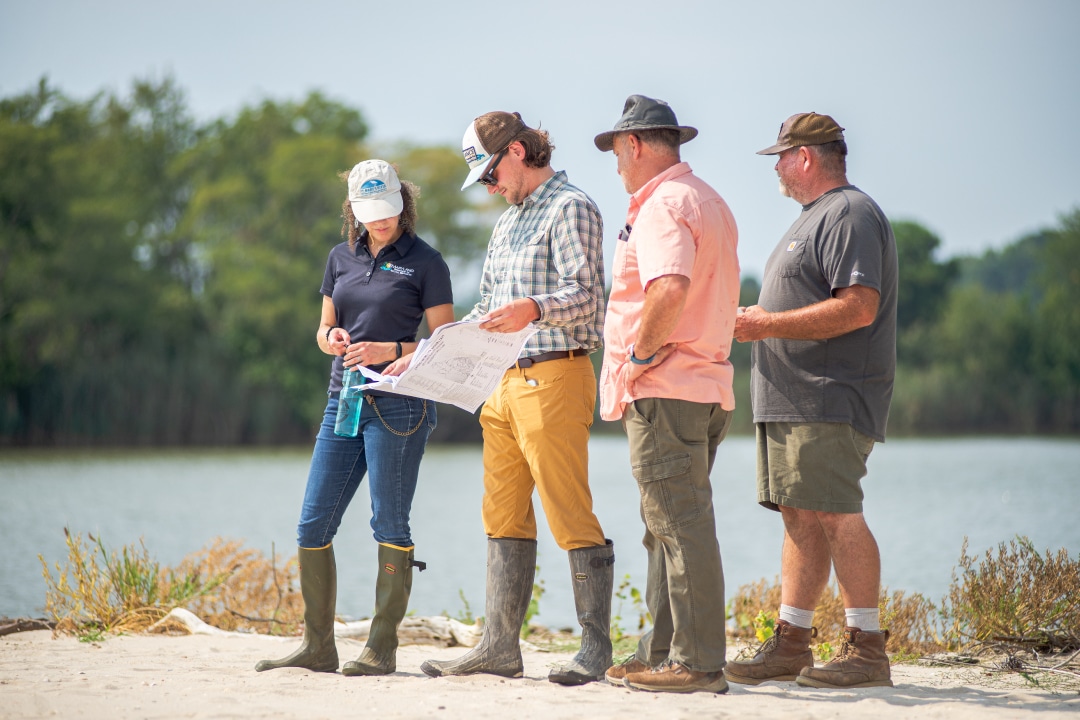 Four people stand on a beach looking at project plans with water and trees in the background