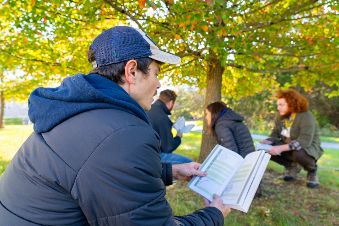 A person in the foregound reads a book, while a group of people in the background look at a tree