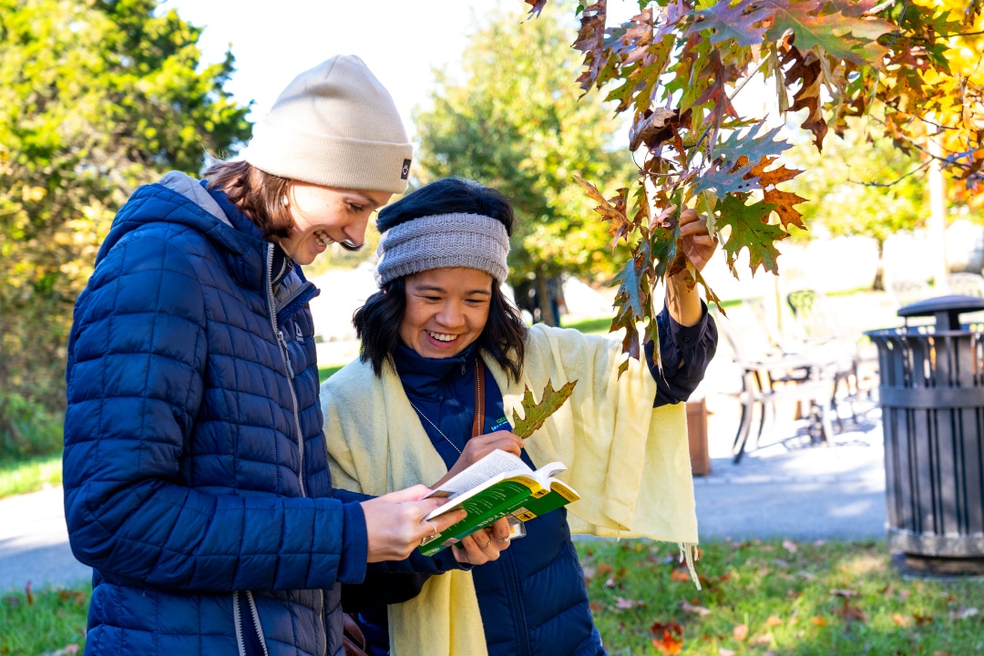 Two people smile while reading a book and holding a tree branch