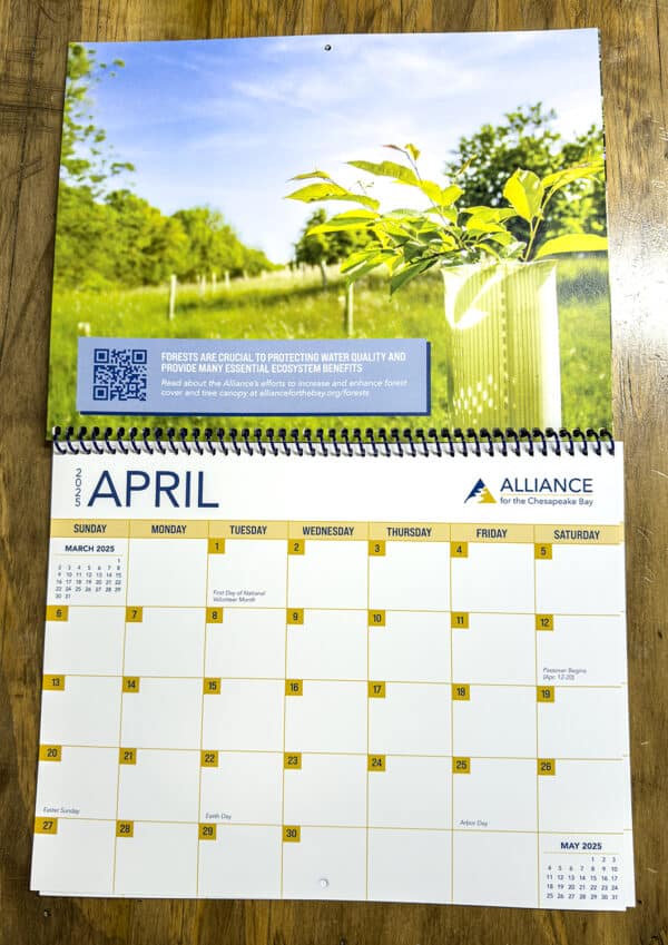 2025 Calendar - Image 2