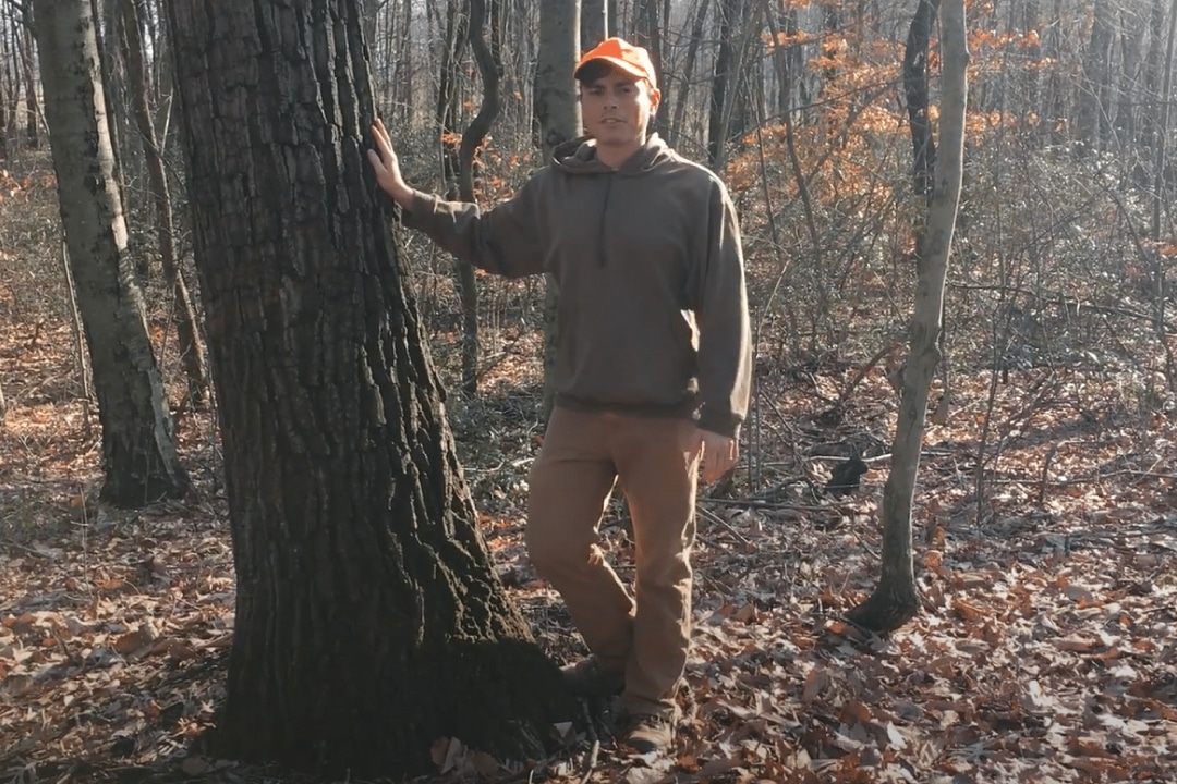 A person leaning against a large tree