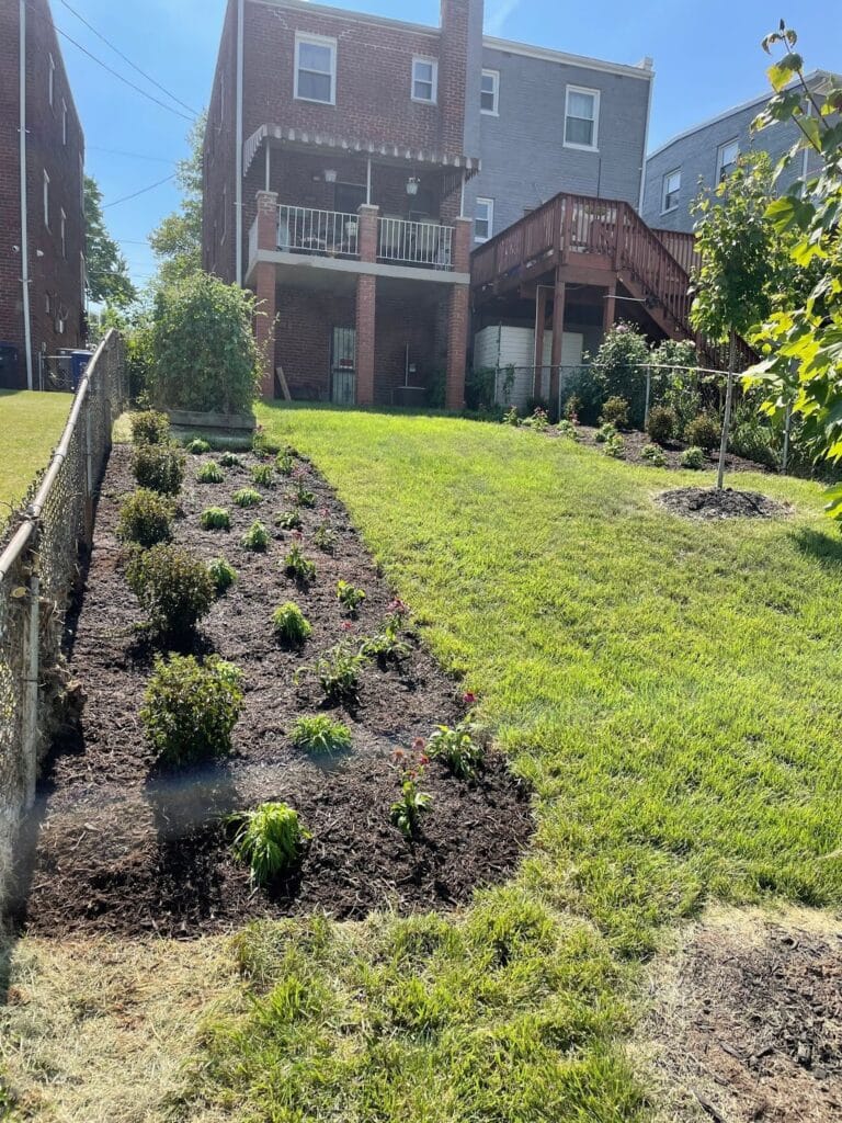 a long mulched garden against a fence on a sunny day