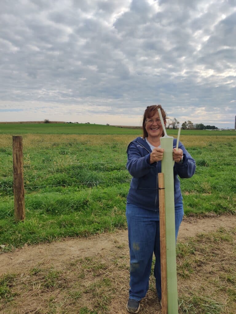 A person smiling while putting a net on a plastic tube covering a tree seedling