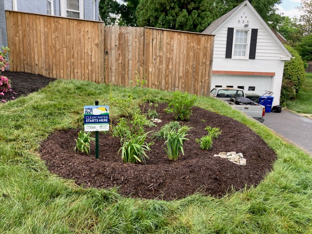 a rain garden with a sign reading "clean water starts here"