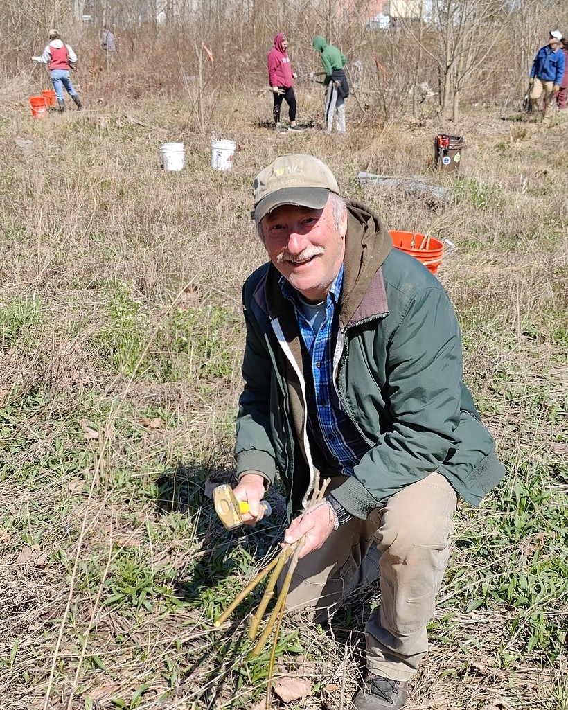 A person holding live stakes (small sticks) and a mallet