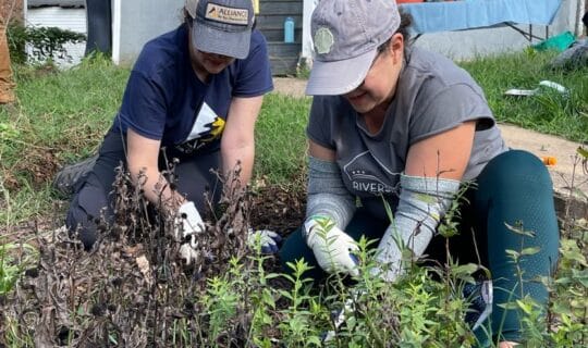 Two people smile while doing garden maintenance in a yard