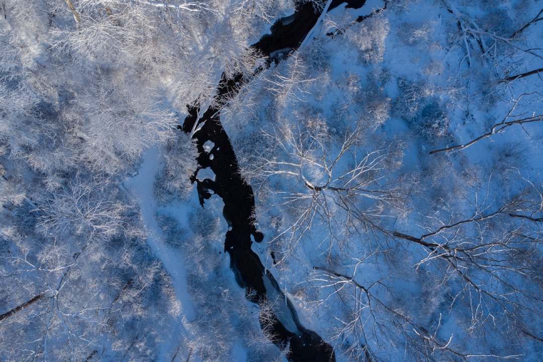 An overhead view of a stream and a snow-covered forest