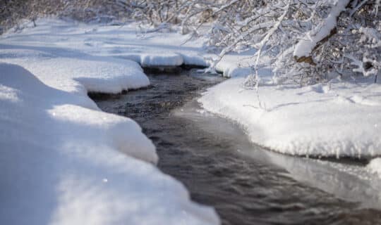 A closeup of a flowing stream with snow-covered banks