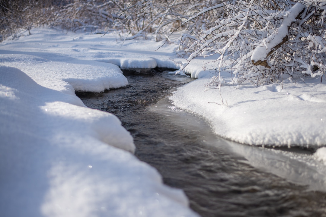 A closeup of a flowing stream with snow-covered banks